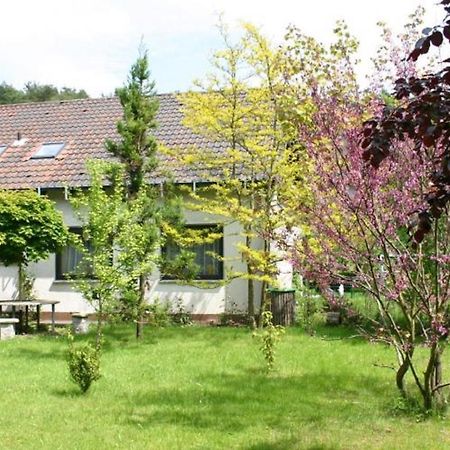Pension Haus Zum Schlehenberg Bayreuth Exterior foto